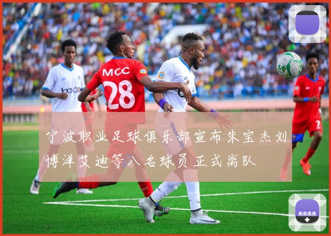 宁波职业足球俱乐部宣布朱宝杰刘博洋艾迪等八名球员正式离队